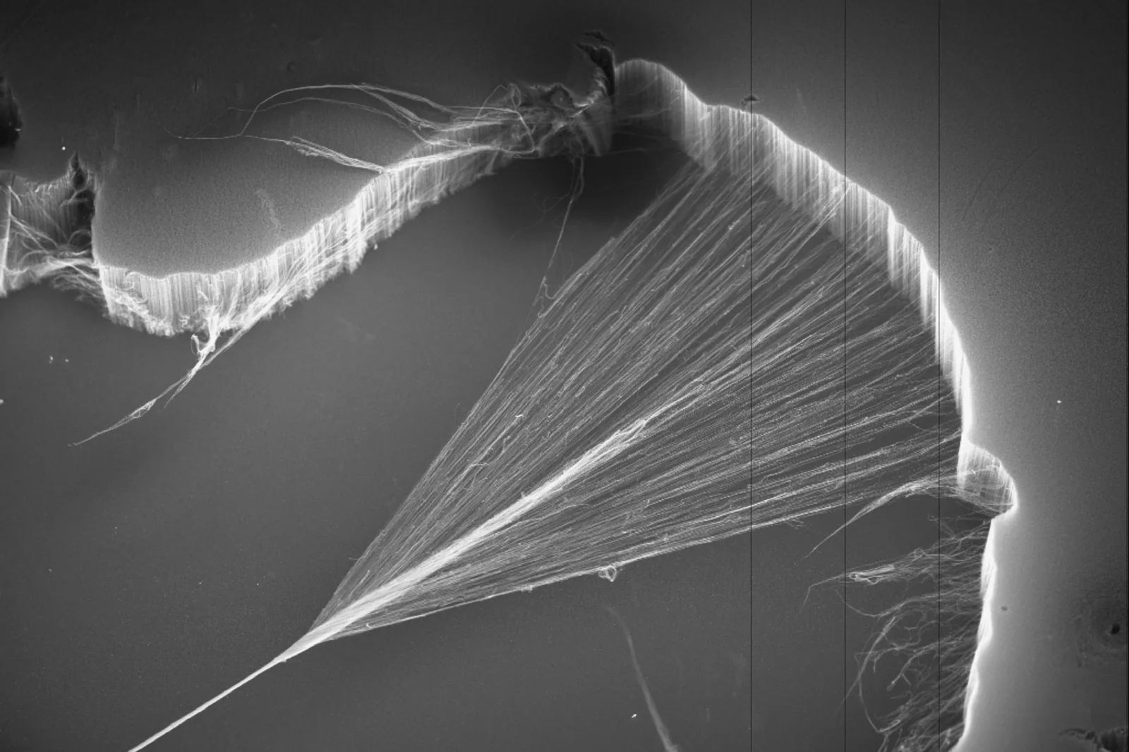 Carbon nanotubes being drawn from a forest and twisted into a yarn, electron micrograph